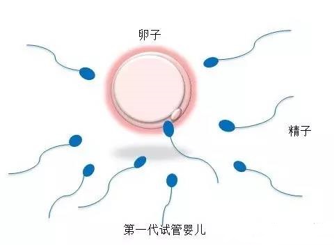代生儿子包性别